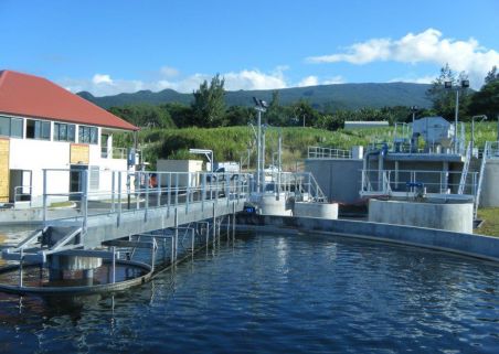 Photo 3 de OTV Nord Ouest Océans - Agence de La Reunion