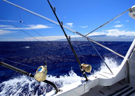 Photo 2 de Réunion Fishing Club