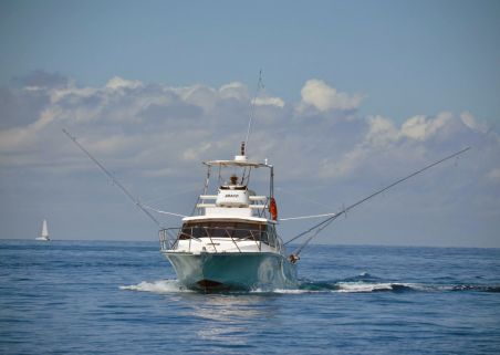 Photo 3 de Réunion Fishing Club