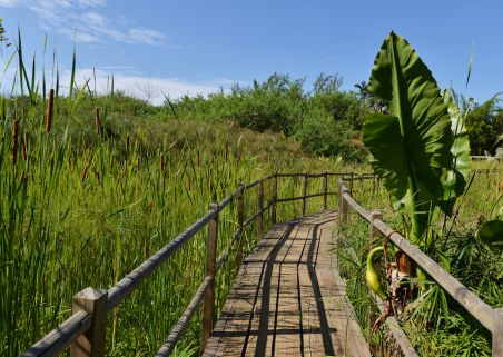 Photo 1 de Le Jardin d’Eden