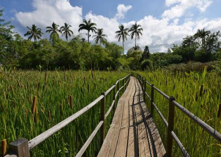 Photo 4 de Le Jardin d’Eden