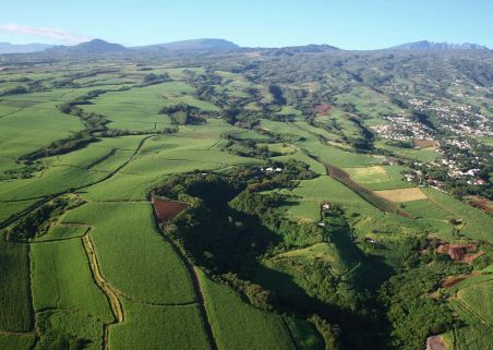 Photo 2 de FRCA REUNION (Fédération Réunionnaise des Coopératives Agricoles)