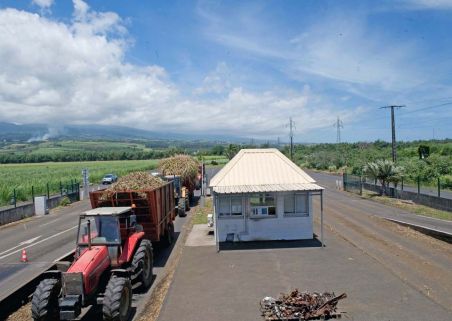 Photo 4 de SYNDICAT DU SUCRE DE LA RÉUNION