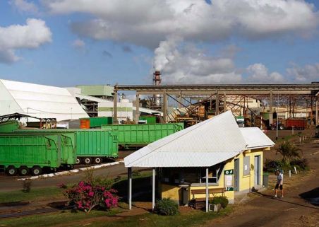 Photo 10 de SYNDICAT DU SUCRE DE LA RÉUNION