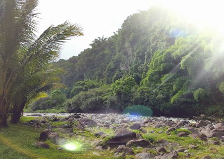 Photo 2 de LA PLANTATION RIVER BEACH