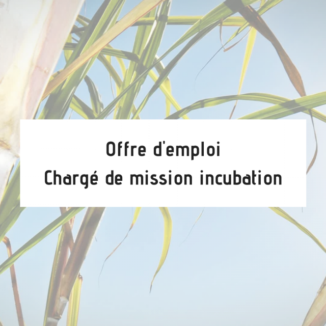 Offre d'emploi | Chargé de mission incubation