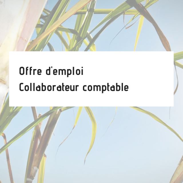 Offre d'emploi | Collaborateur comptable