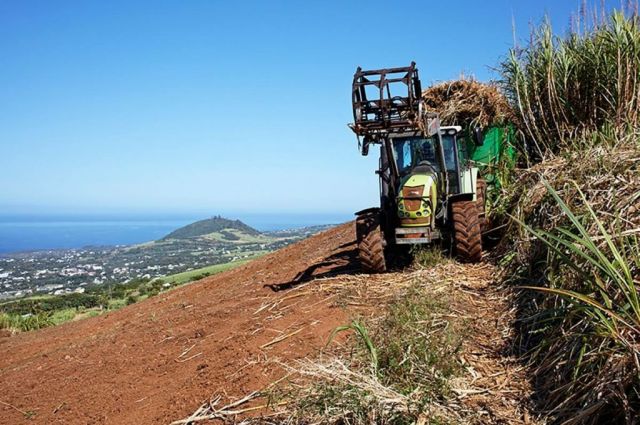 Arts, Agricultures & Territoires